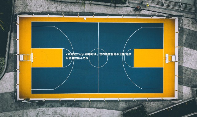 V体育官方app-巅峰对决，世界级擂台高手云集 绝技纷呈引燃格斗之夜