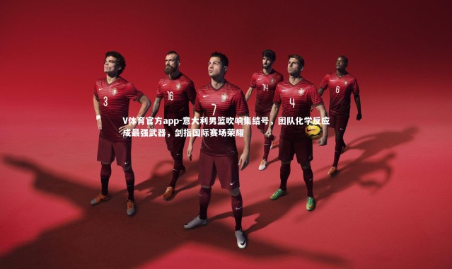V体育官方app-意大利男篮吹响集结号，团队化学反应成最强武器，剑指国际赛场荣耀