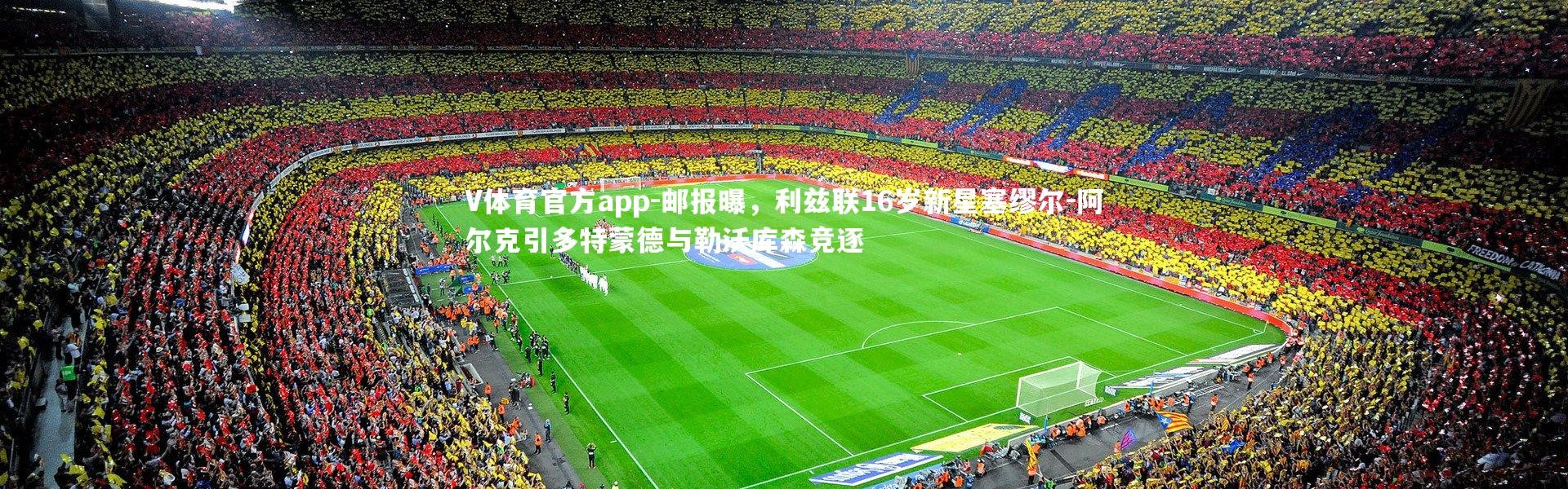 V体育官方app-邮报曝，利兹联16岁新星塞缪尔-阿尔克引多特蒙德与勒沃库森竞逐