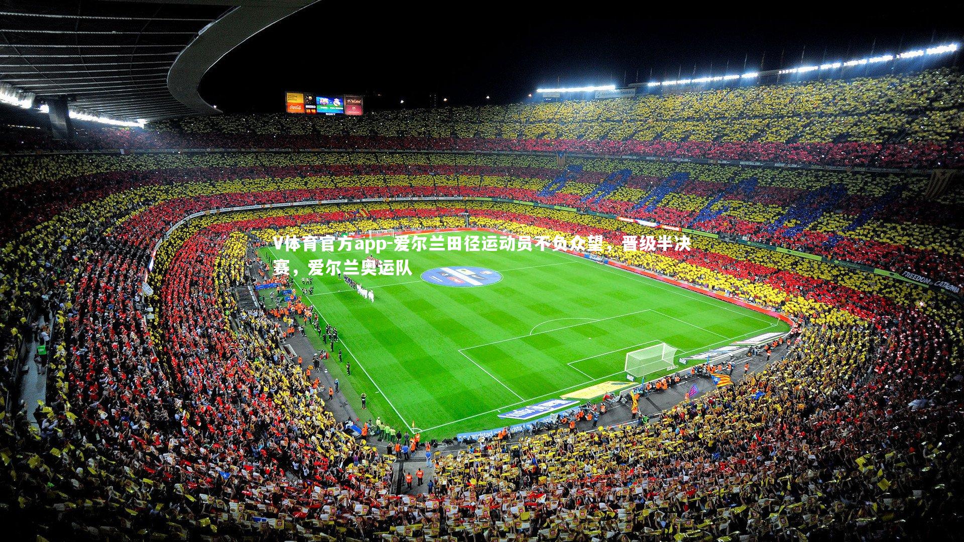 爱尔兰田径运动员不负众望，晋级半决赛，爱尔兰奥运队